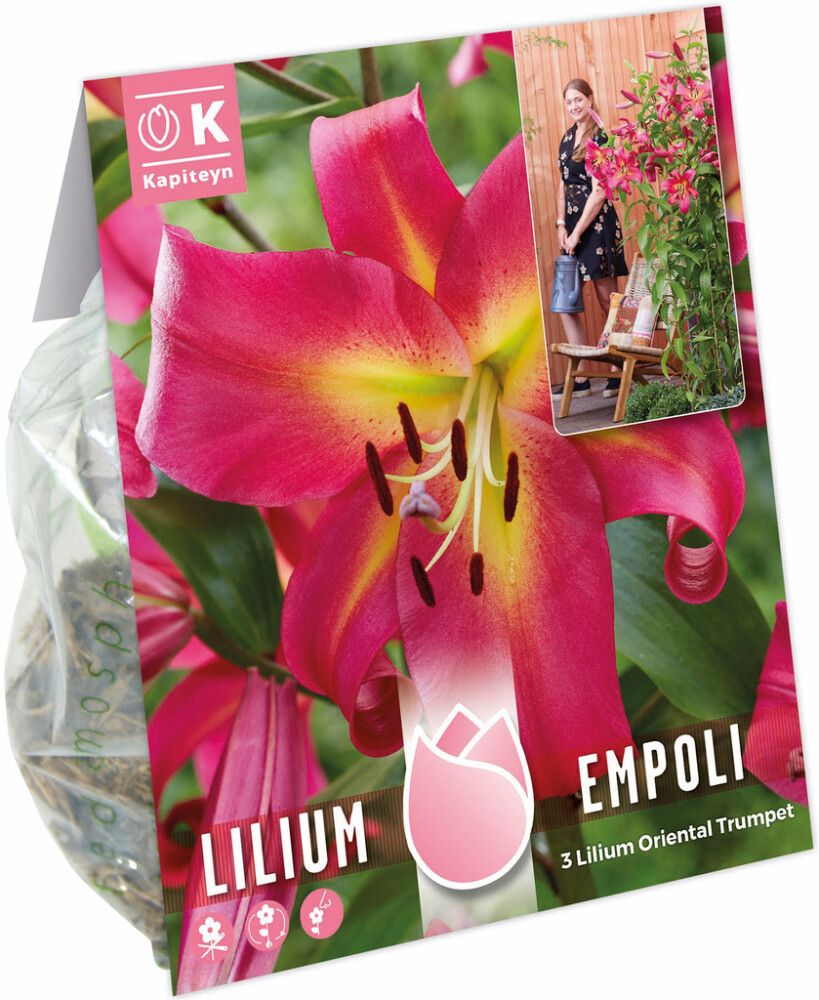 Kevätkukkasipuli Kapiteyn Lilja Empoli 3 kpl