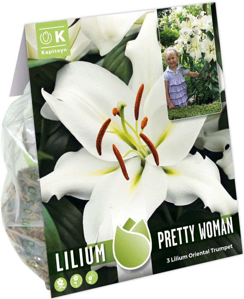 Kevätkukkasipuli Kapiteyn Lilja Pretty Woman 3 kpl