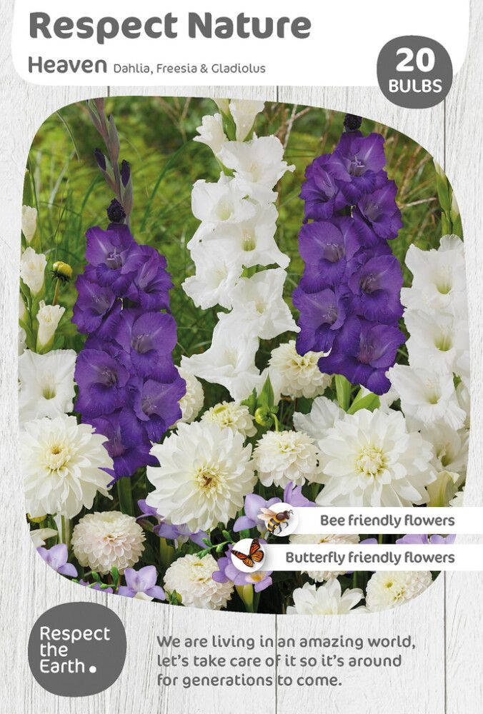 Kevätkukkasipuli Kapiteyn Respect Nature Heaven 20 kpl