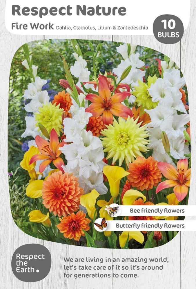 Kevätkukkasipuli Kapiteyn Respect Nature Fire Work 10 kpl