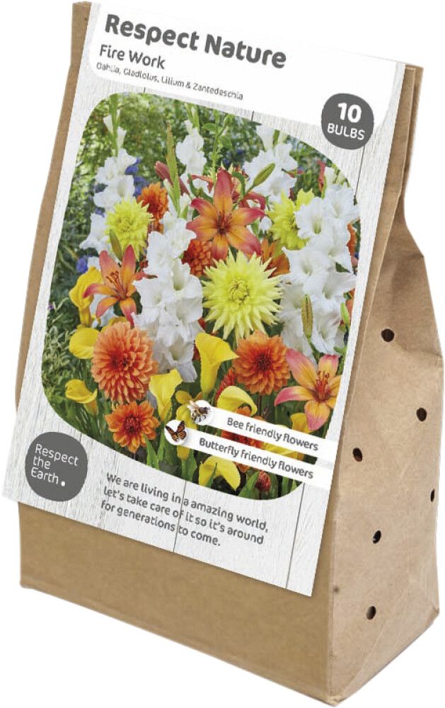 Kevätkukkasipuli Kapiteyn Respect Nature Fire Work 10 kpl