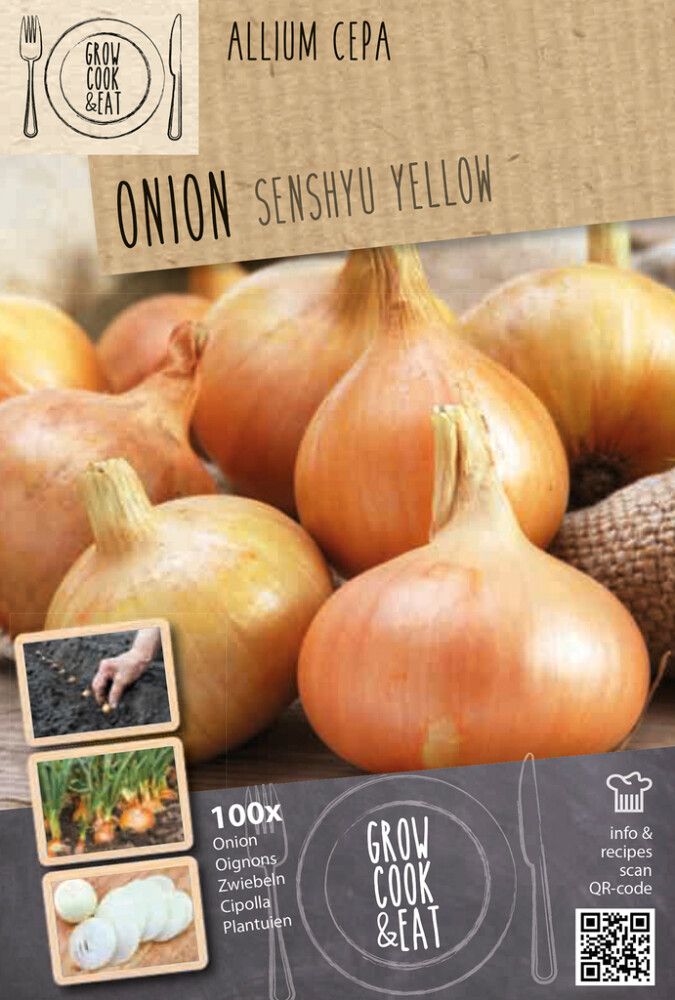 Sipuli Kapiteyn Senshyu Yellow 100 kpl