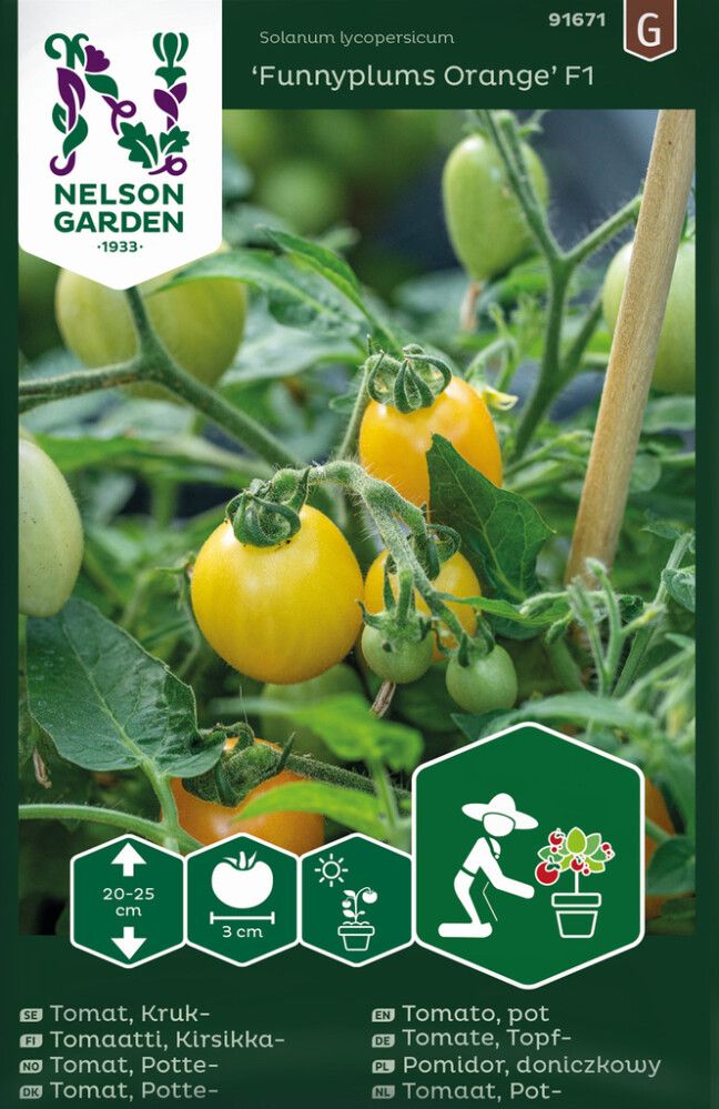 Kirsikkatomaatti Nelson Garden Funnyplums Orange