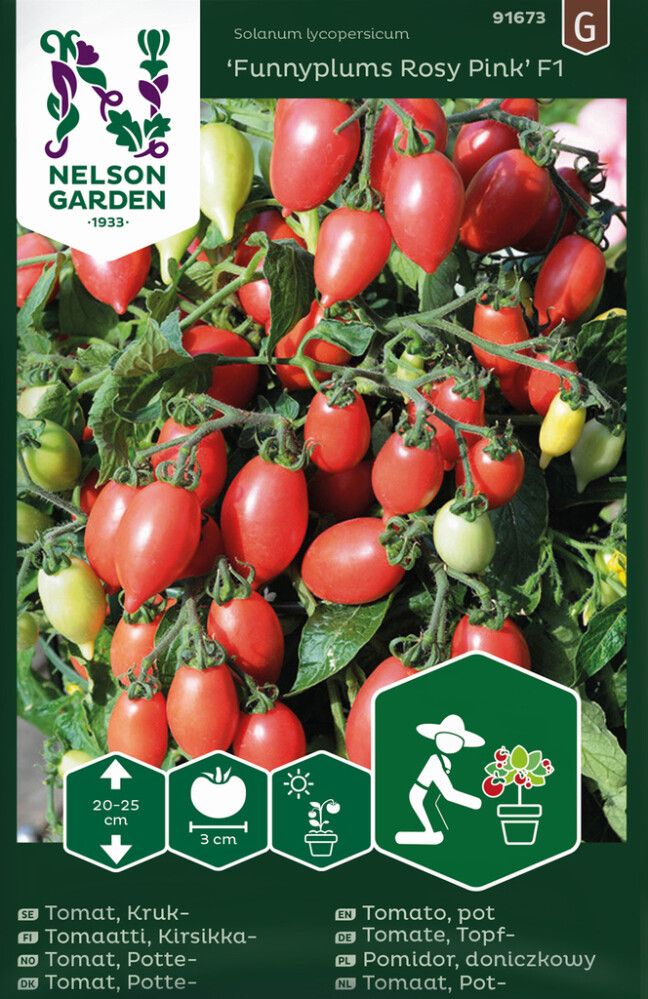 Kirsikkatomaatti Nelson Garden Funnyplums Rosy Pink