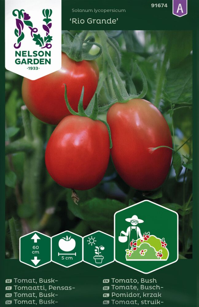 Luumutomaatti Nelson Garden Rio Grande