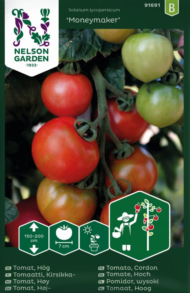 Kasvihuonetomaatti Nelson Garden Moneymaker