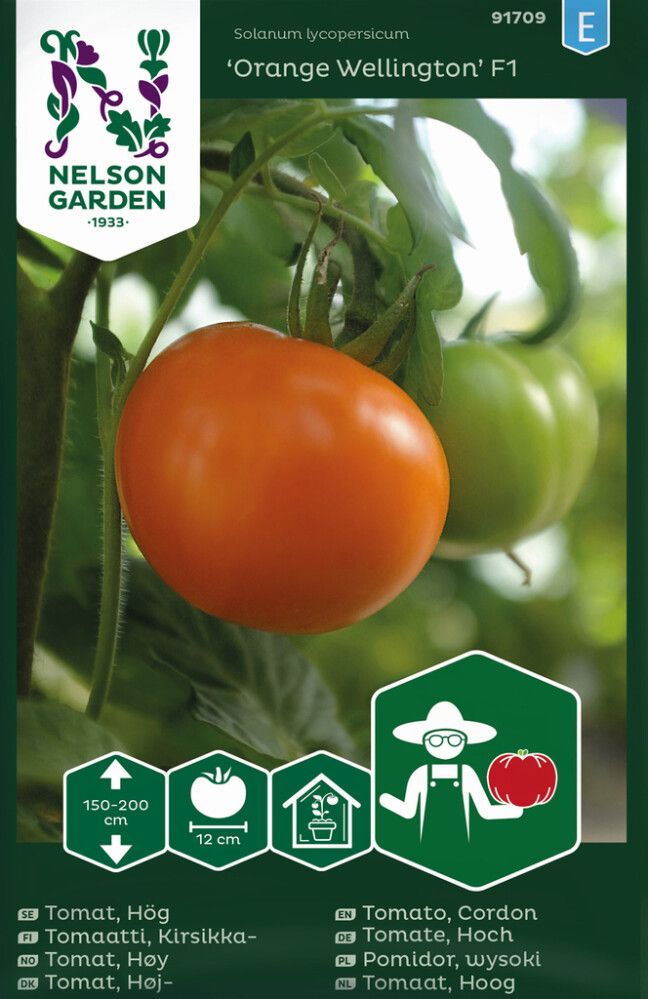 Pihvitomaatti Nelson Garden Orange Wellington