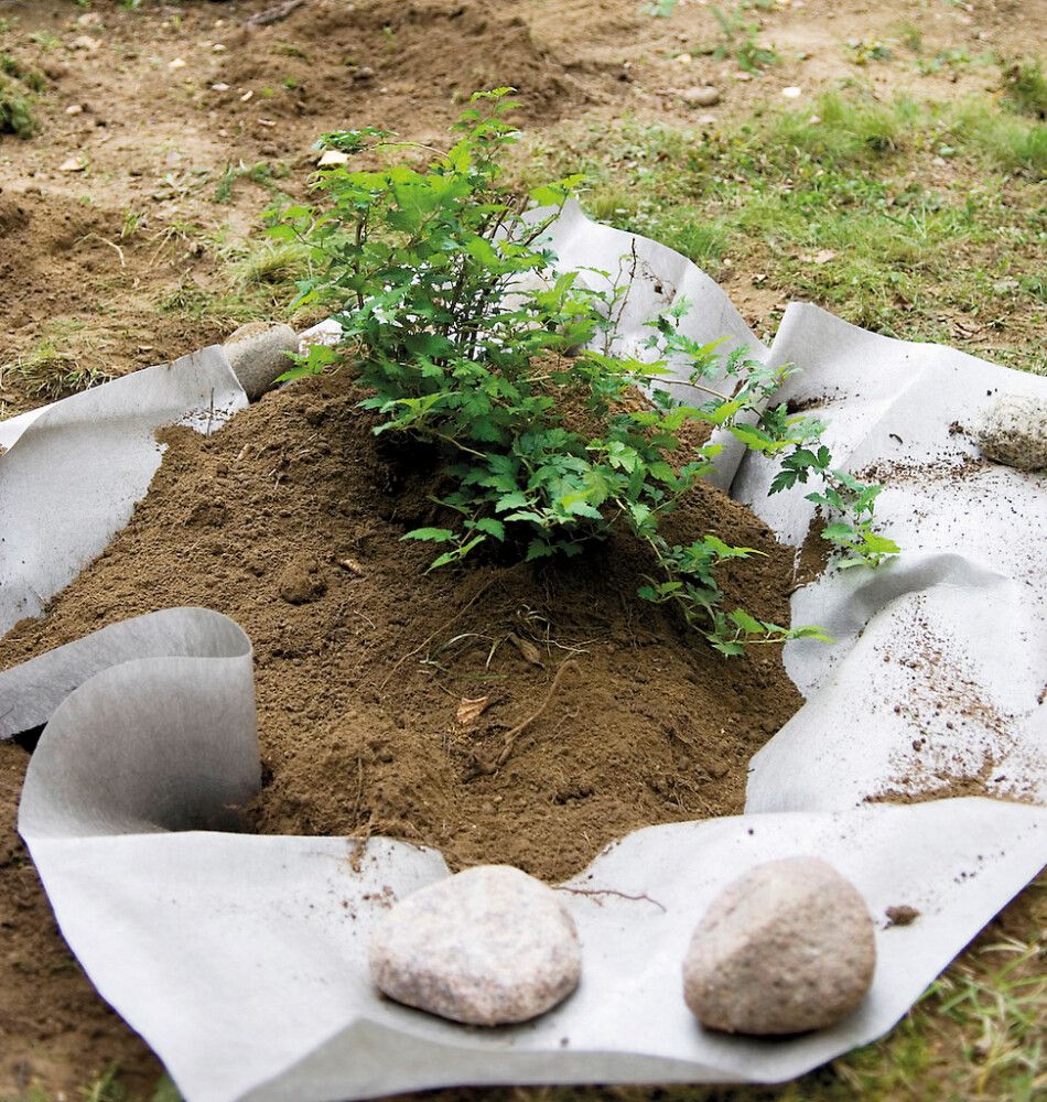 Juuriestematto 3 m²