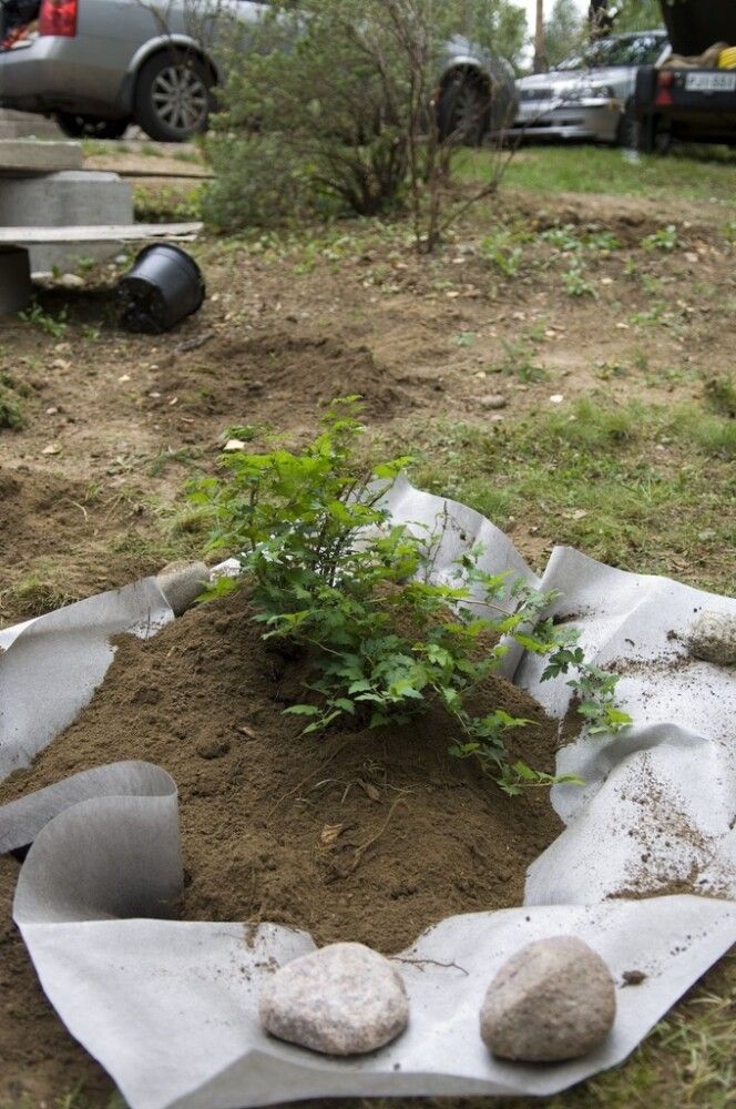 Juuriestematto 21 m²