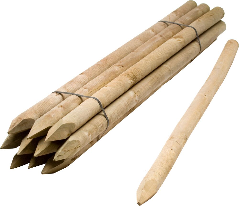 Aitatolppa 50 mm 150 cm