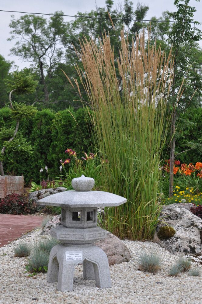 Koristekastikka Mihkel Saar Karl Foerster