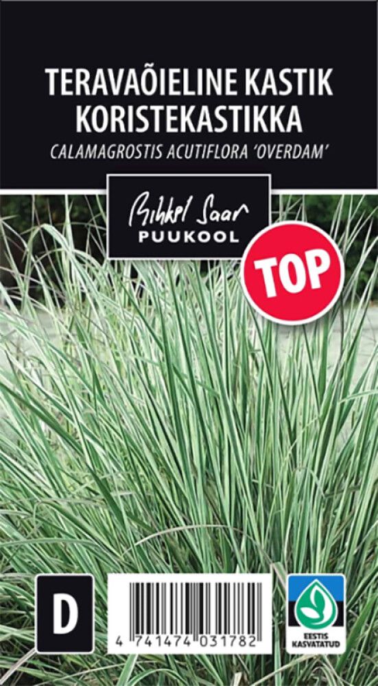 Koristekastikka Overdam