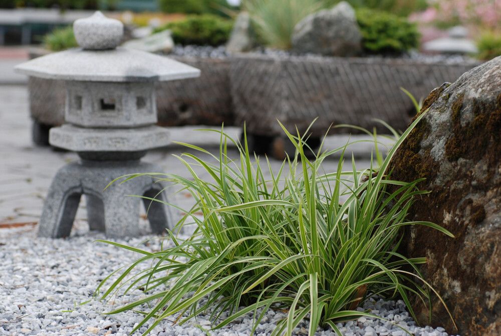 Japaninsara Mihkel Saar Ice Dance C2