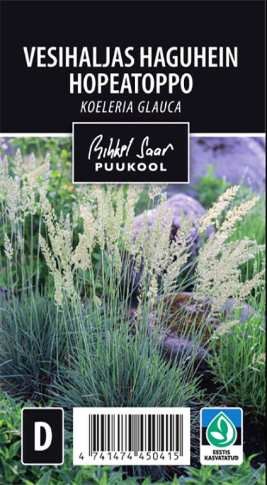 Hopeatoppo Koeleria Glauca