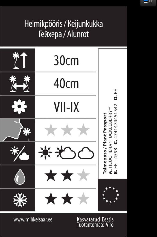 Keijunkukka Huckleberry