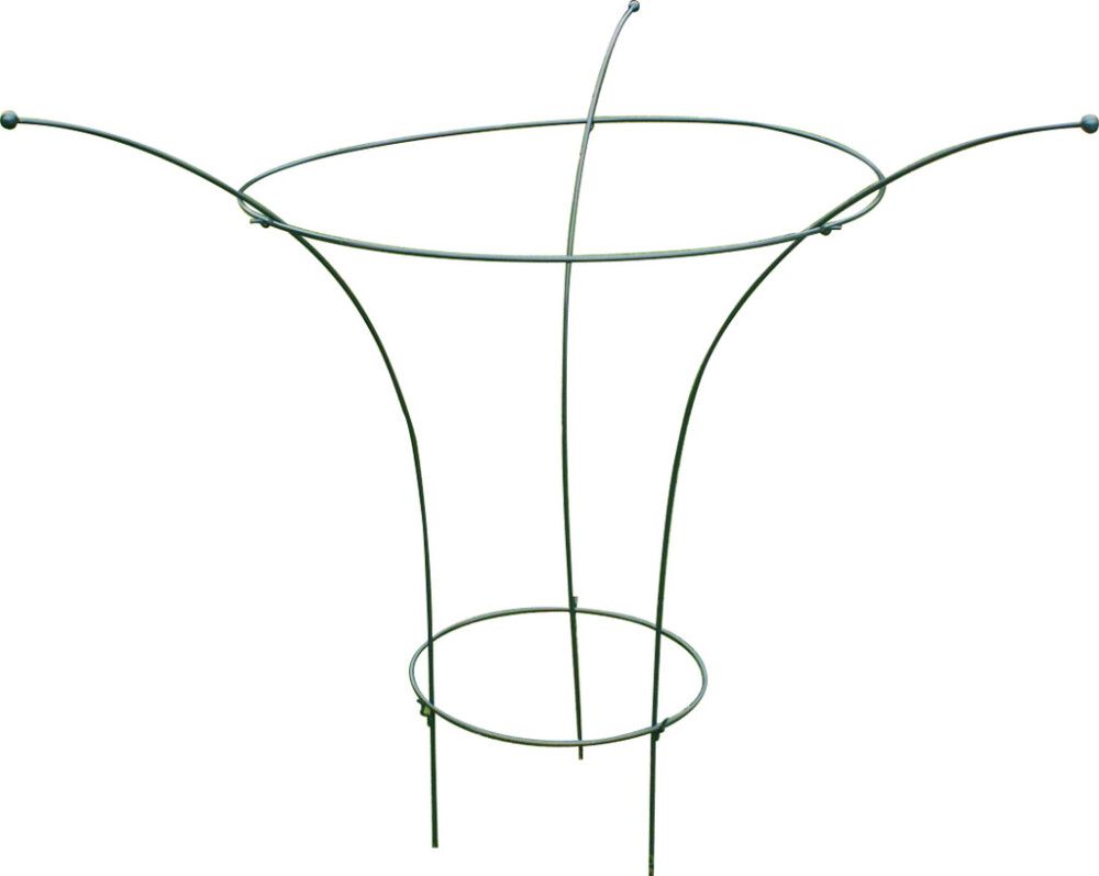 Kasvituki Pioni 90 cm