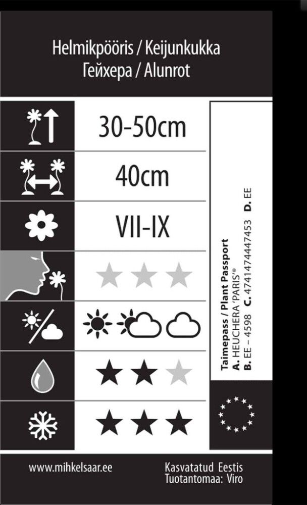 Keijunkukka Mihkel Saar Paris