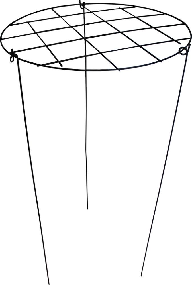 Kasvituki ristikolla