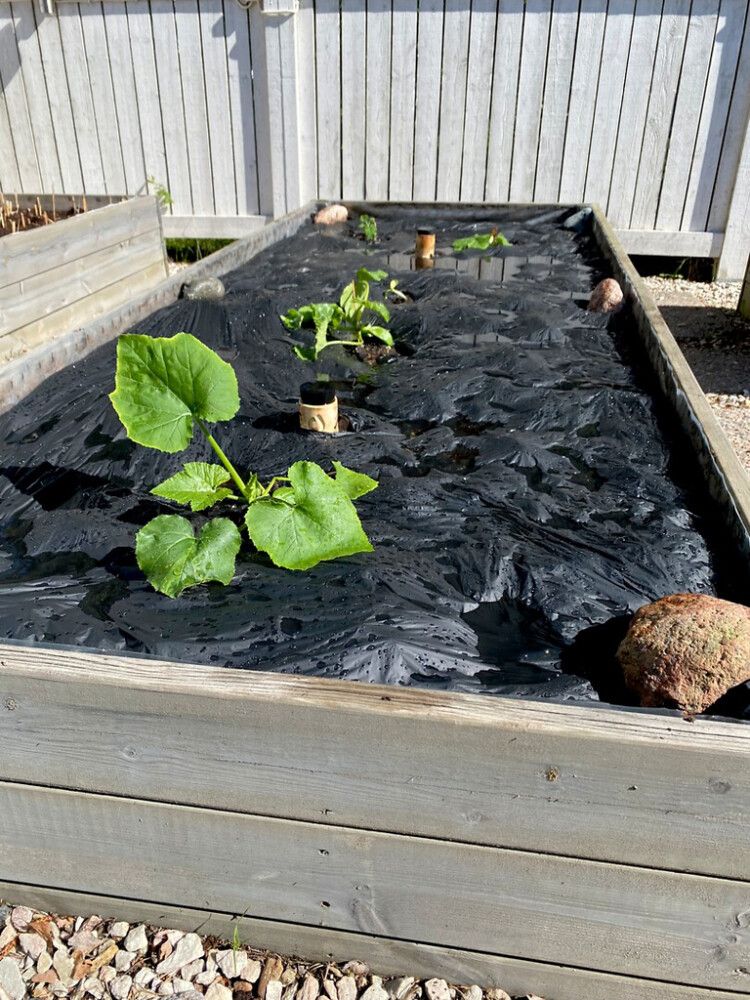 Biohajoava katekalvo 7 m²