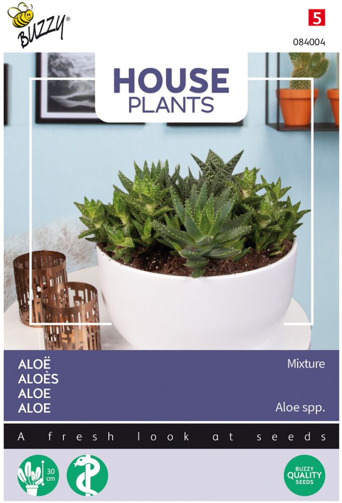 Aloesekoitus Buzzy House Plants