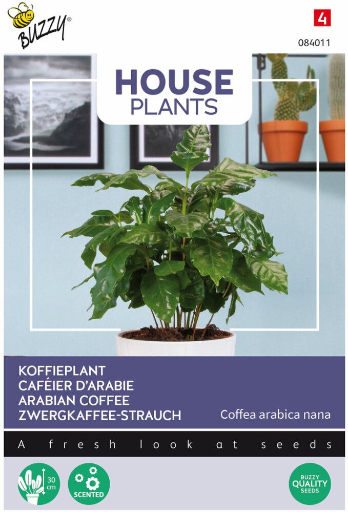 Arabiankahvi Buzzy House Plants