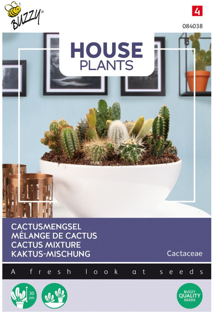 Kaktussekoitus Buzzy House Plants