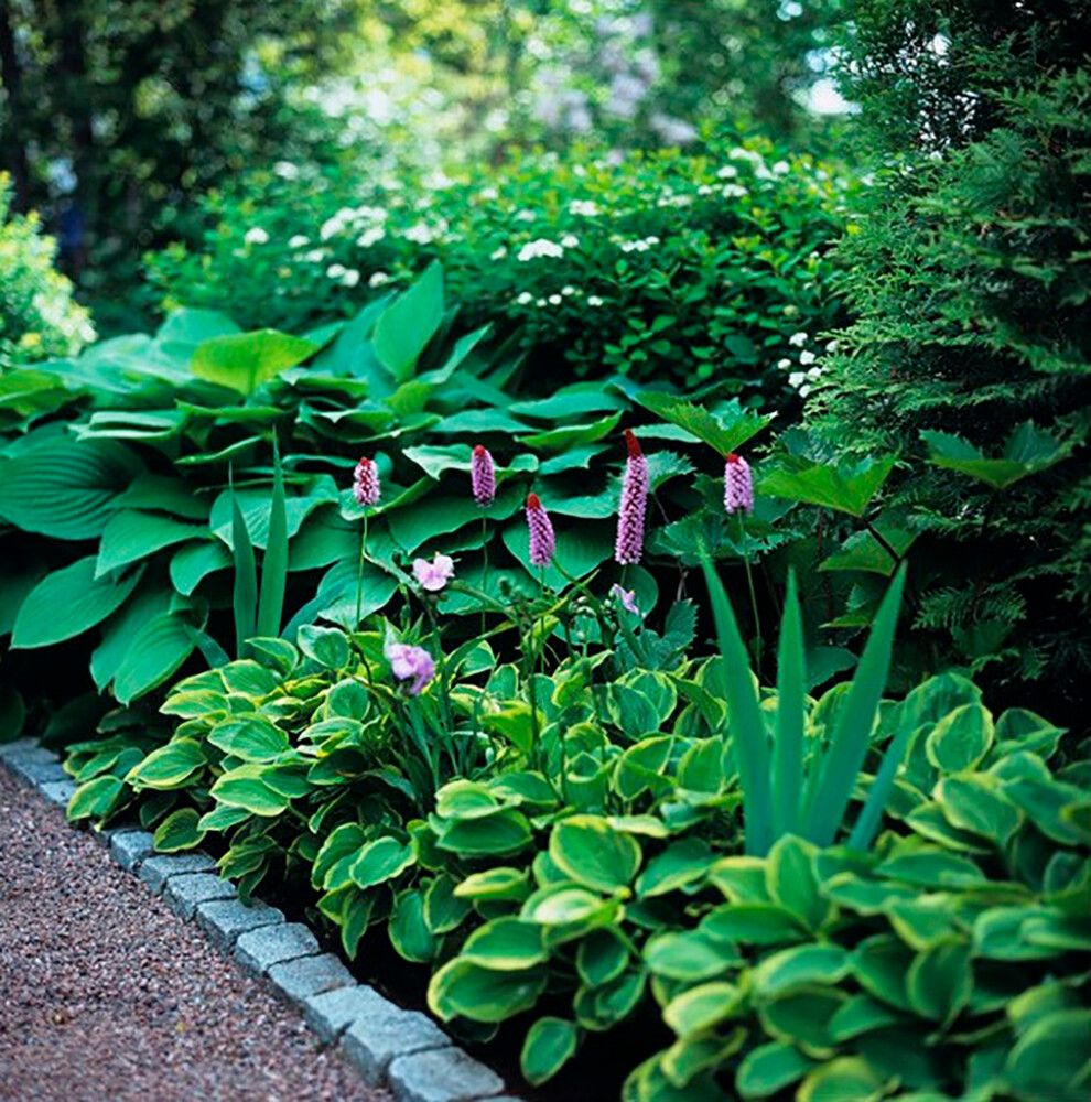 Perennamulta Kekkilä Siisti Piha Suursäkki 1000 l