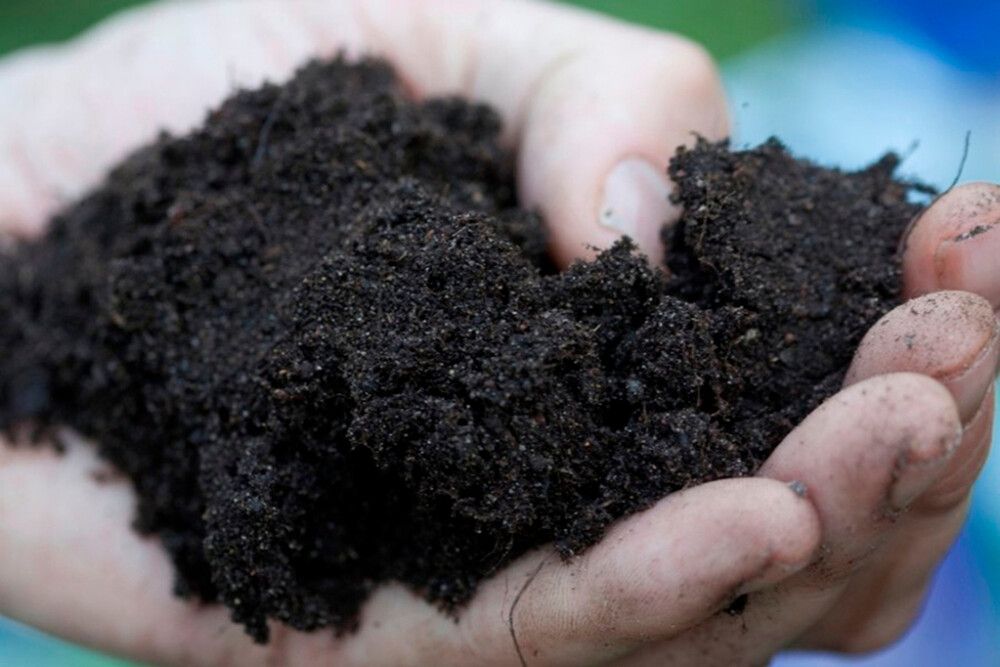 Perennamulta Kekkilä Siisti Piha Suursäkki 1000 l