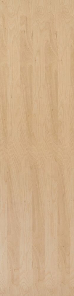 Seinälevy Fibo Vito lakattu viilu koivu 10 x 620 x 2720 mm 2 kpl/pkt