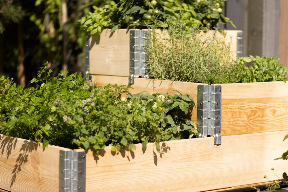 Lavakaulus setti 3 kpl natural