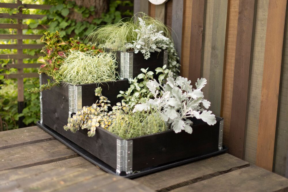 Lavakaulus setti 3 kpl musta