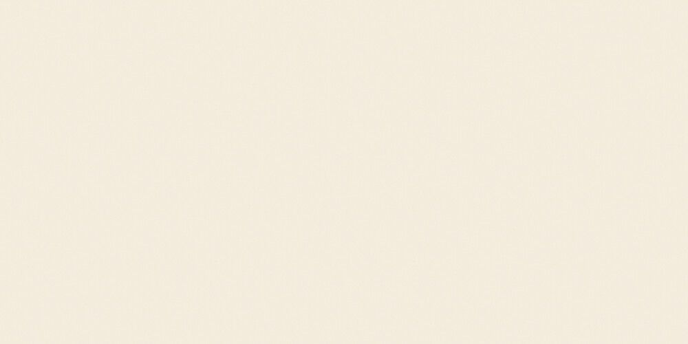 Seinälaatta Palazzo Soft Sand 30 x 60 cm Matta