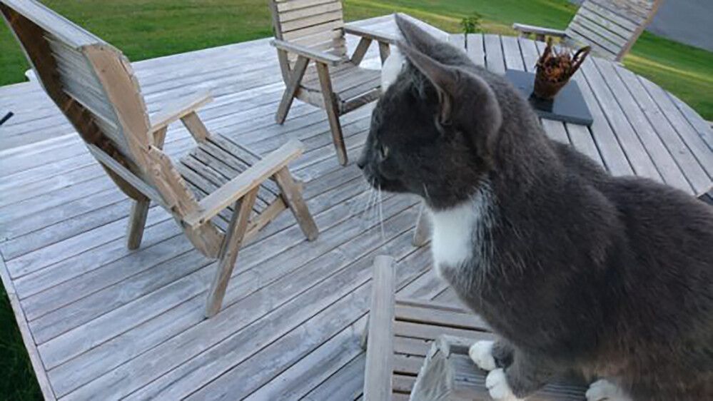 Terassilauta Aureskoski Kivipuu 28 x 120 mm Harjattu (per metri)