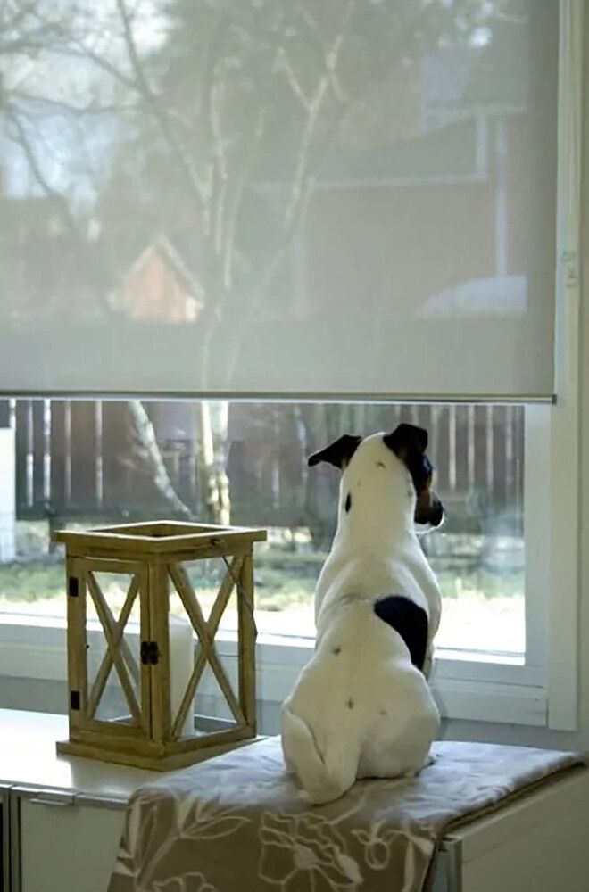 Rullaverho Ihanin Screen vaaleanharmaa 200 x 170 cm