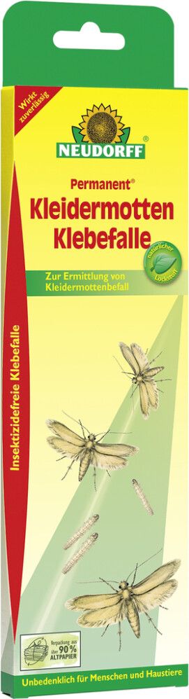 Koiliima-ansa Permanent