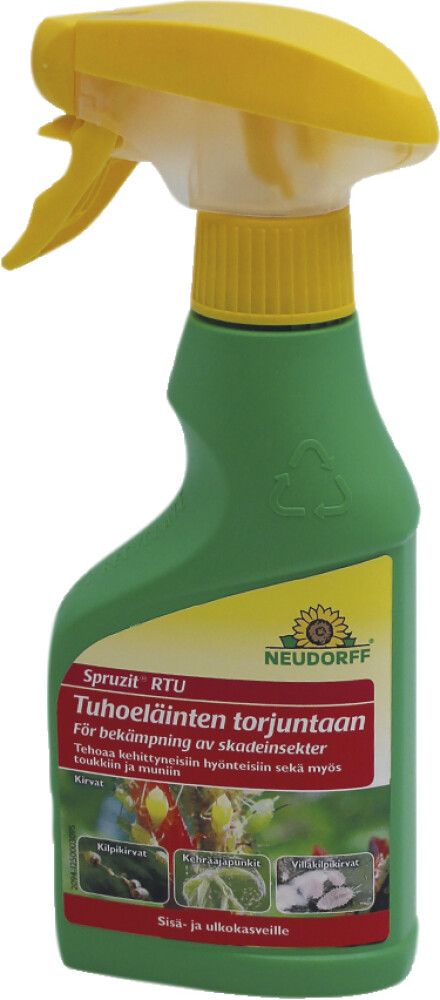 Tuhohyönteisten torjunta-aine Spruzit 250 ml