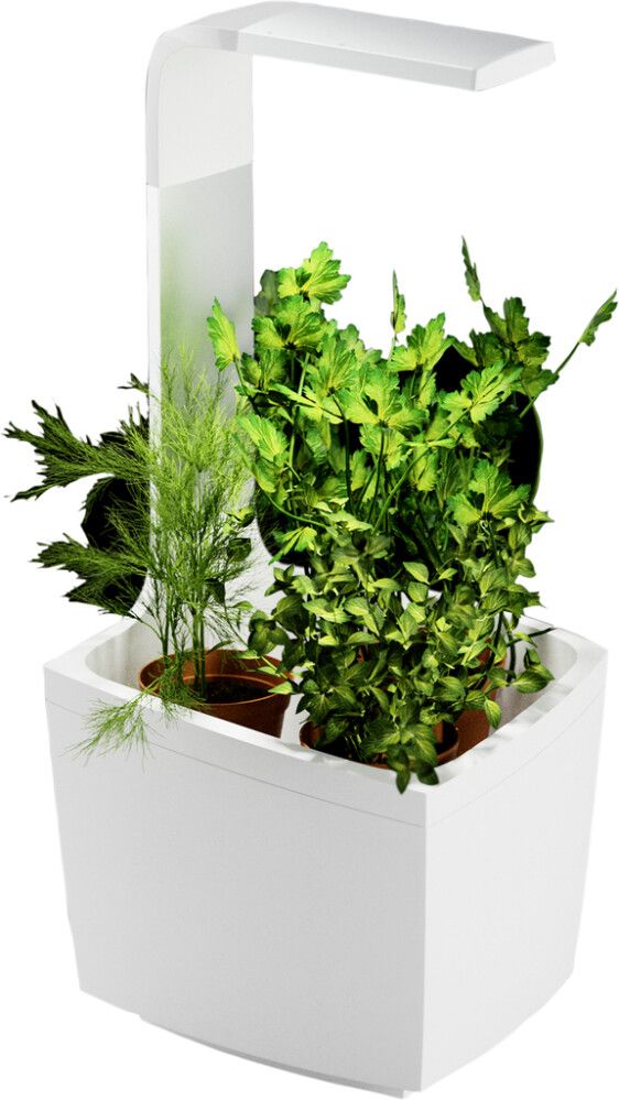 Sisäpuutarha Tregren T3 valkoinen