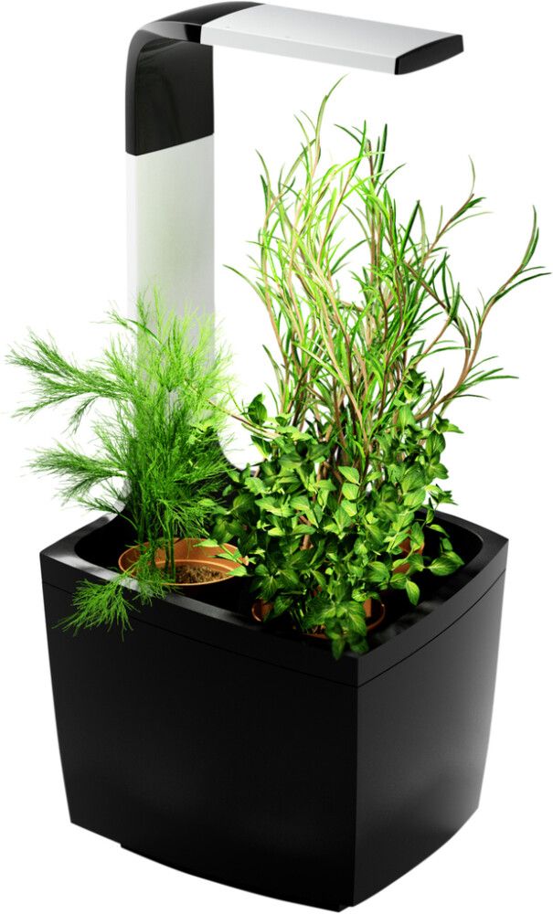 Sisäpuutarha Tregren T3 musta