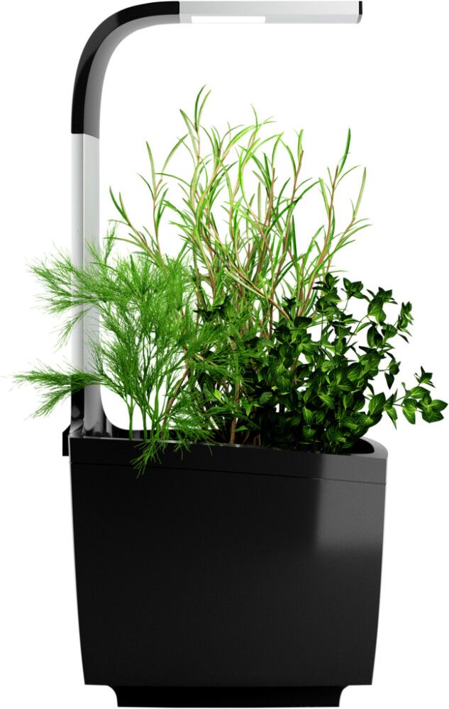 Sisäpuutarha Tregren T3 musta