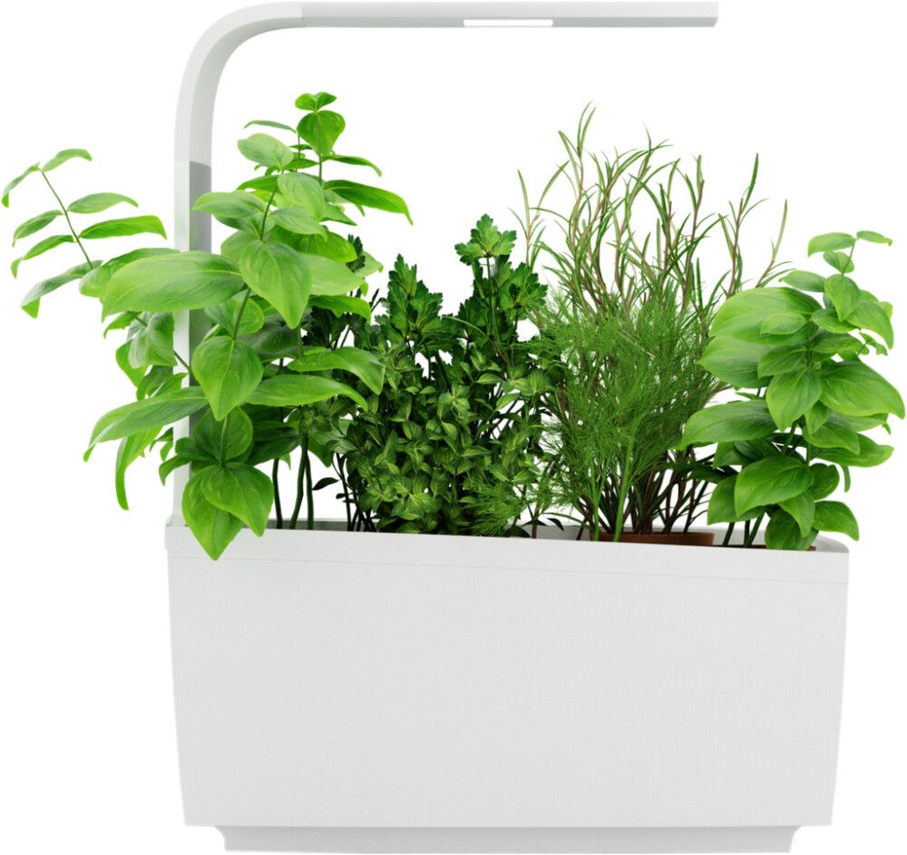 Sisäpuutarha Tregren T6 valkoinen