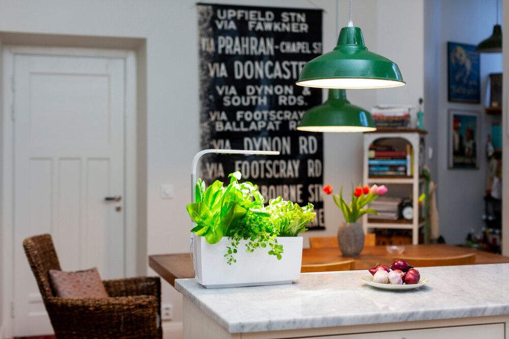 Sisäpuutarha Tregren T6 valkoinen