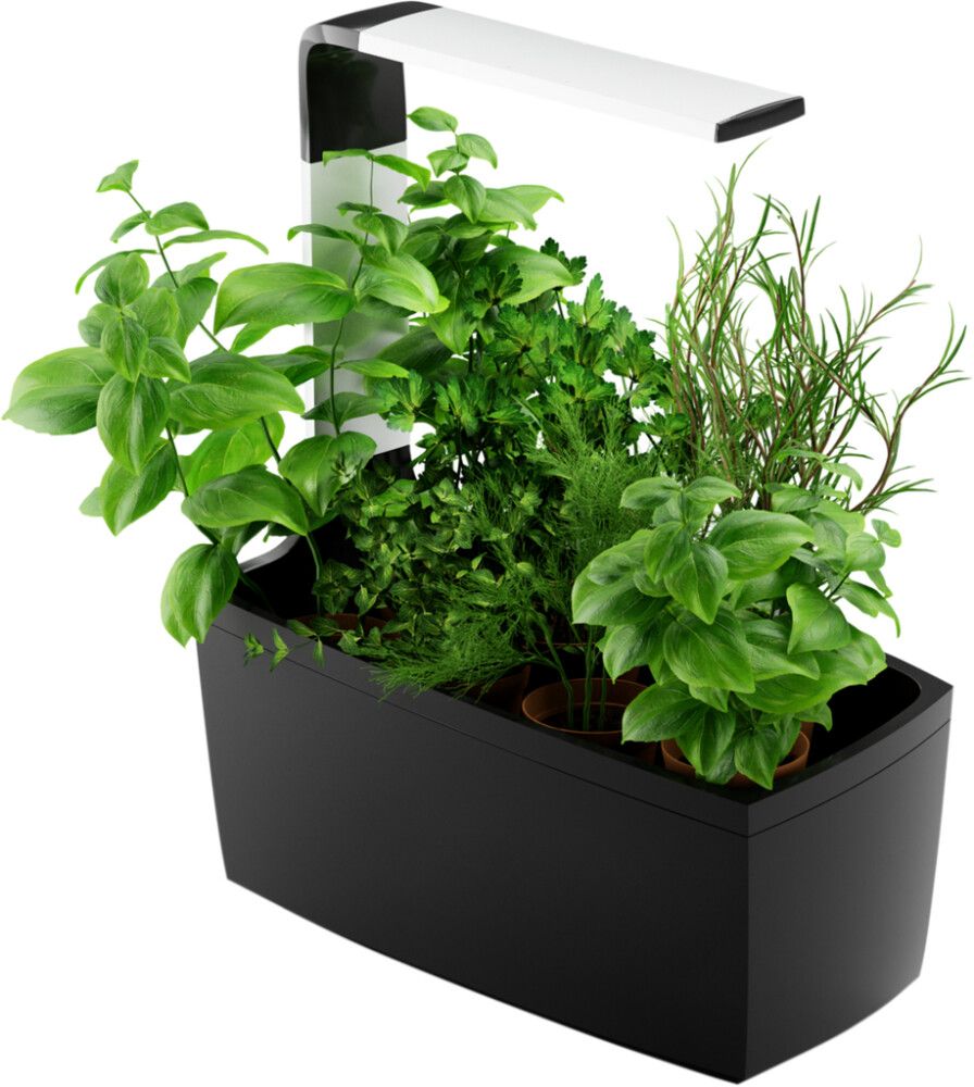 Sisäpuutarha Tregren T6 musta