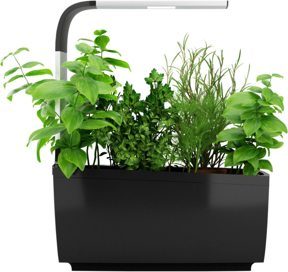 Sisäpuutarha Tregren T6 musta