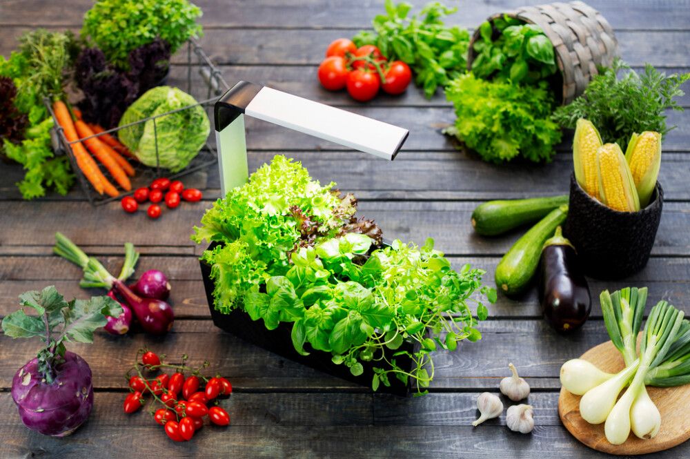 Sisäpuutarha Tregren T6 musta