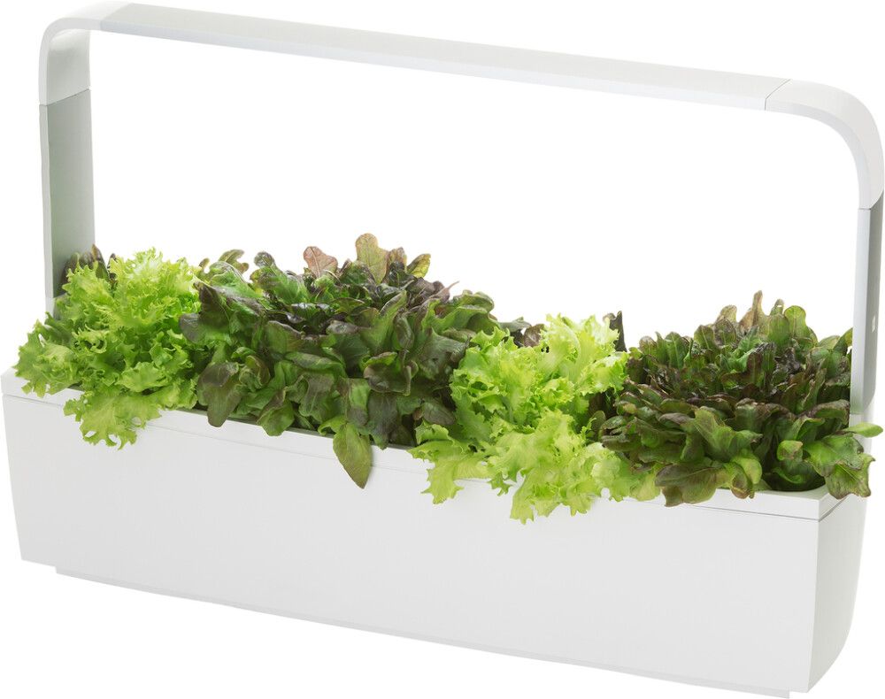 Sisäpuutarha Tregren T12 valkoinen