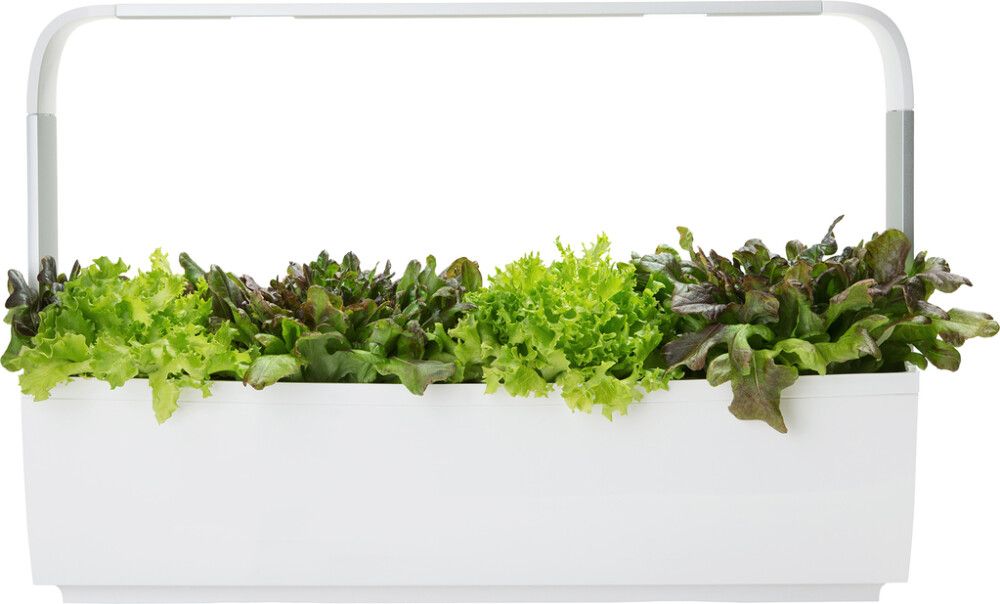 Sisäpuutarha Tregren T12 valkoinen