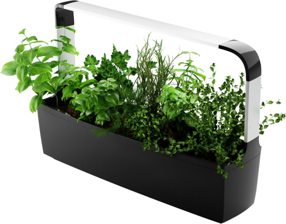 Sisäpuutarha Tregren T12 musta