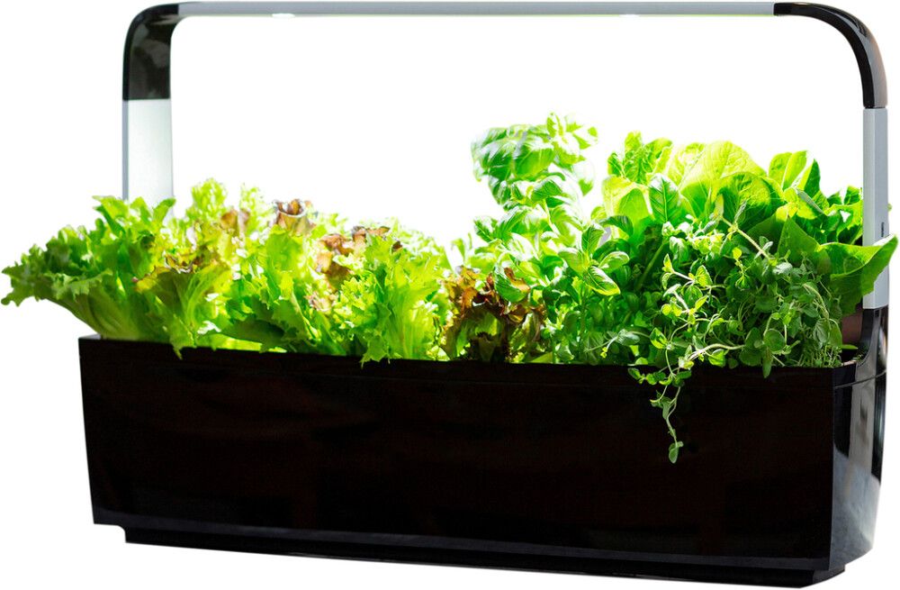 Sisäpuutarha Tregren T12 musta