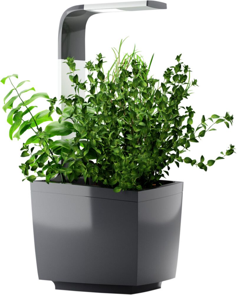 Sisäpuutarha Tregren T3 harmaa