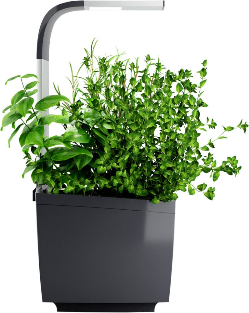 Sisäpuutarha Tregren T3 harmaa